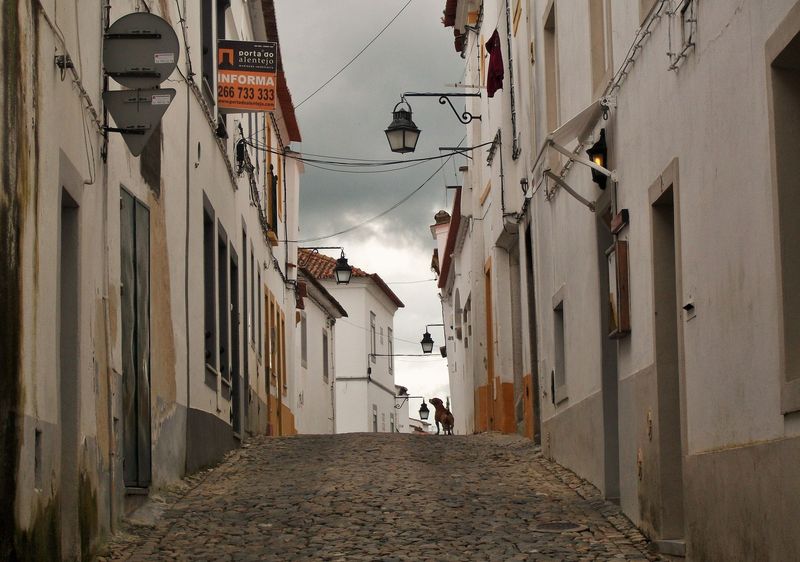 Início: imagem da história da Sabugalis